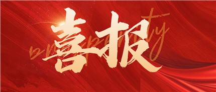 喜報！進(jìn)芯電子入選2022年湖南省專精特新“小巨人”企業(yè)名單！